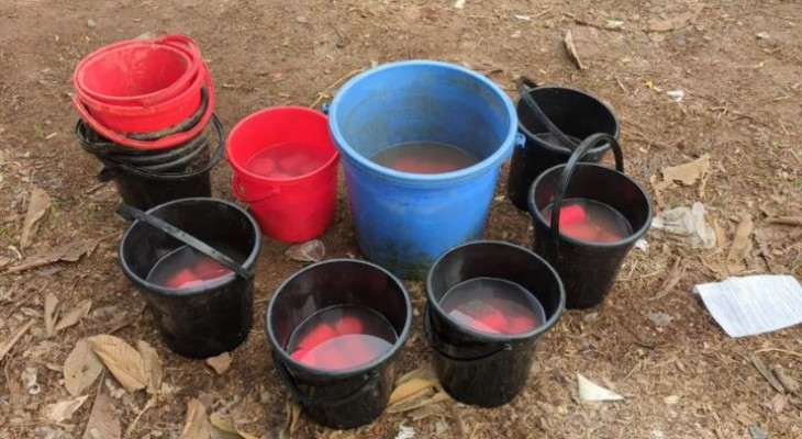 নড়িয়ায় ৯৫টি ককটেলসহ ধারালো অস্ত্র উদ্ধার, আটক ৩